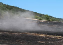 Flaechenbrand Bei Jena 020718 00011